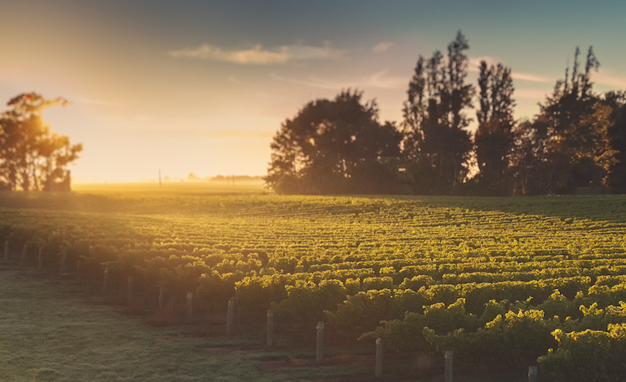 Rose Family Estate moves to Renewable Energy